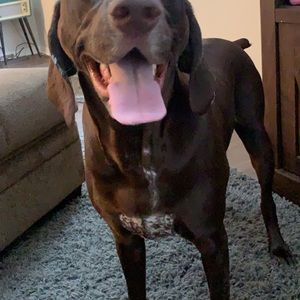 Meet your Posher, Jack